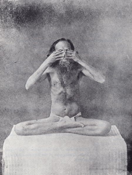 Рис. 27. Йонимудра.