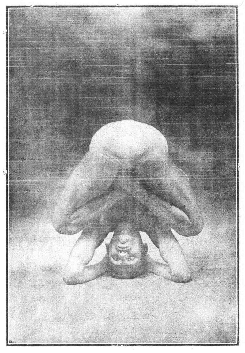 Рис. 3а. Ширшасана (переход к пятому положению).