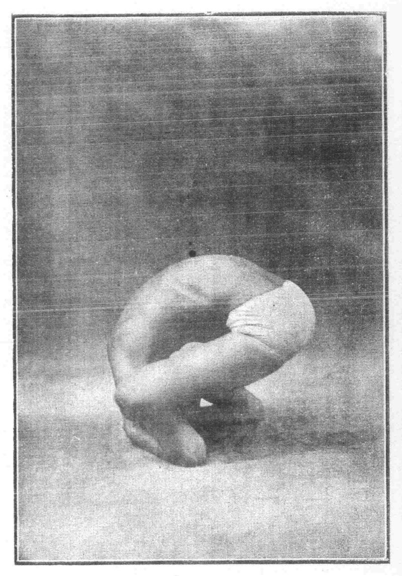 Рис. 3б. Ширшасана (положение пятое).