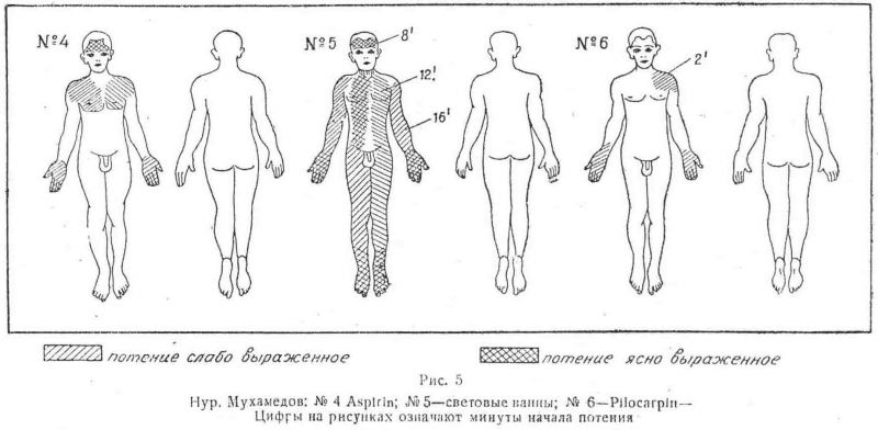 Файл:АНАТС-05.jpg
