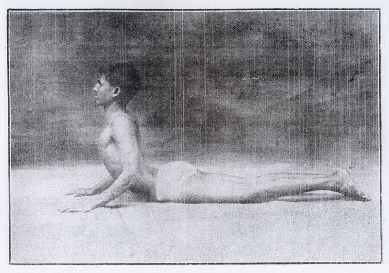 Рис. 1. Бхуджангасана