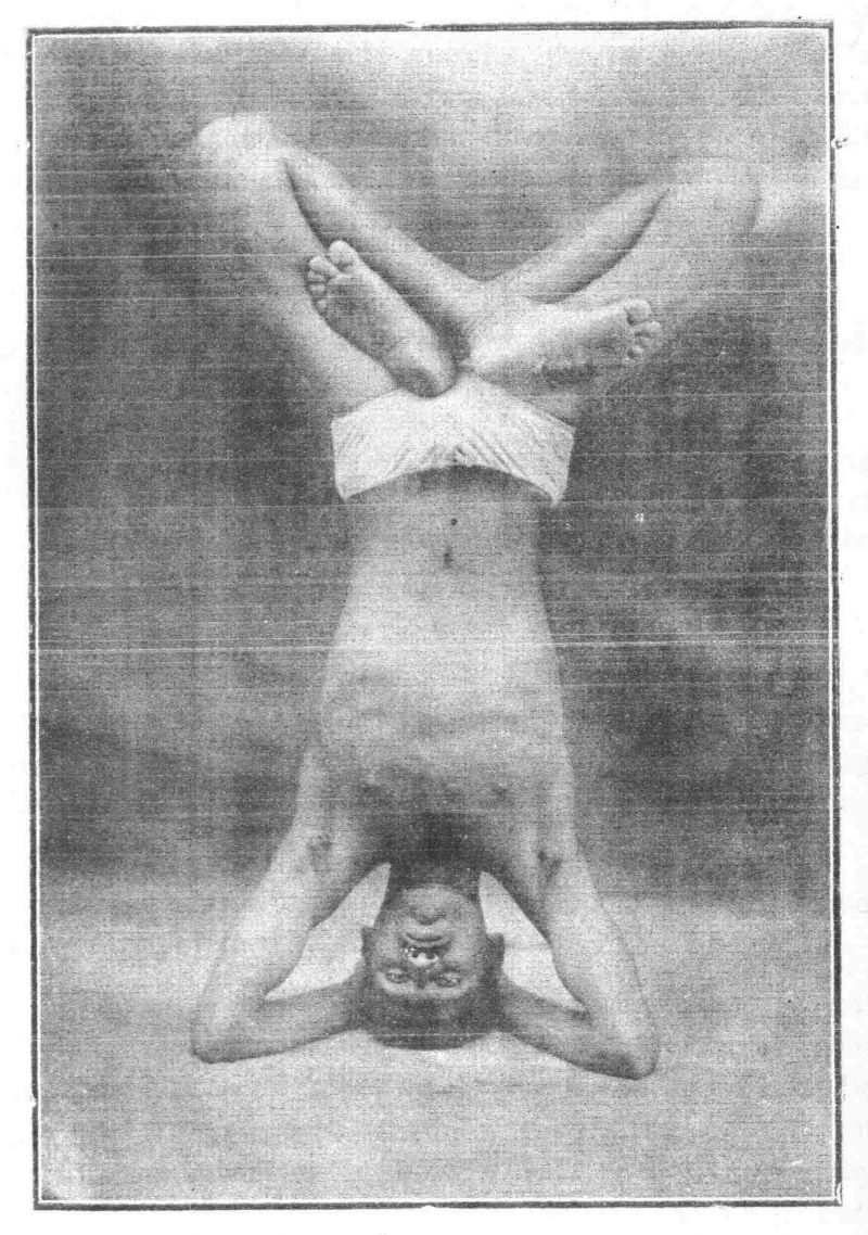 Рис. 3в. Ширшасана + падмасана (вариант третьего положения).